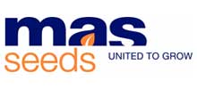 MASSEEDS