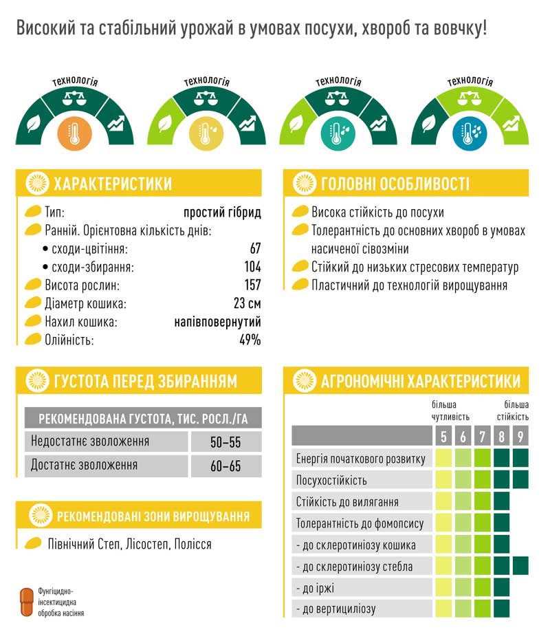 Гібрид соняшника ЕС САВАНА