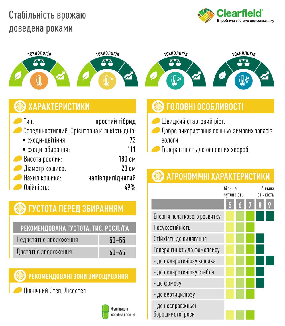 Гібрид соняшника ЕС ФЛОРІМІС