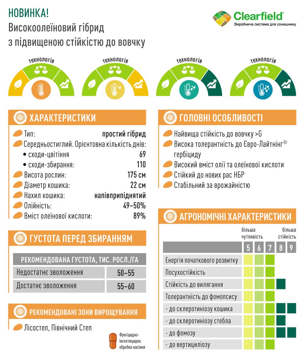 Гібрид соняшника ЕС ГРАФІК СЛ
