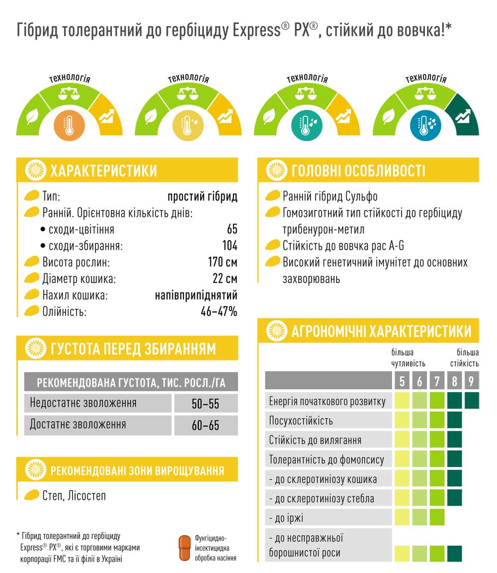 Гібрид соняшника ЕС АРКАДІЯ СУ