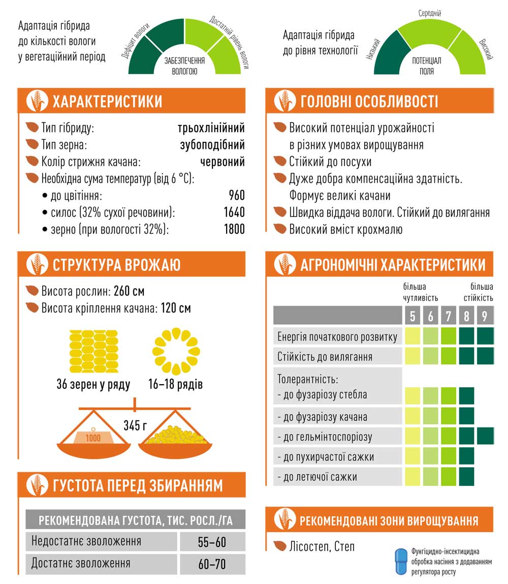 Гібрид кукурудзи ЕС СЕНСОР