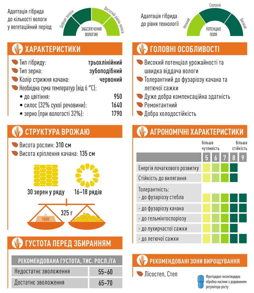 Гібрид кукурудзи ЕС МОСКІТО