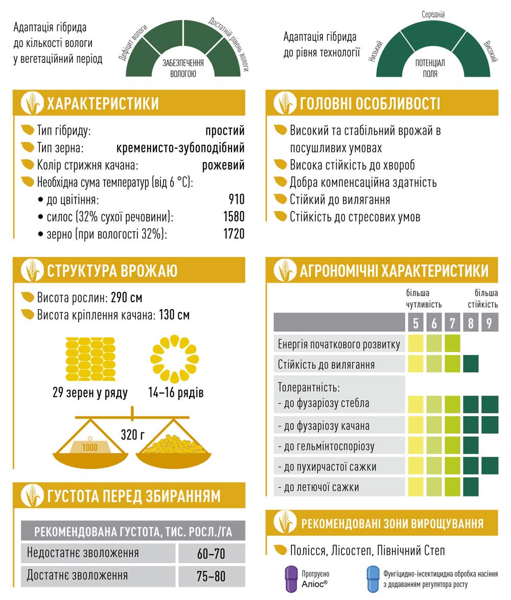 Гібрид кукурудзи ЕС АСТЕРОІД