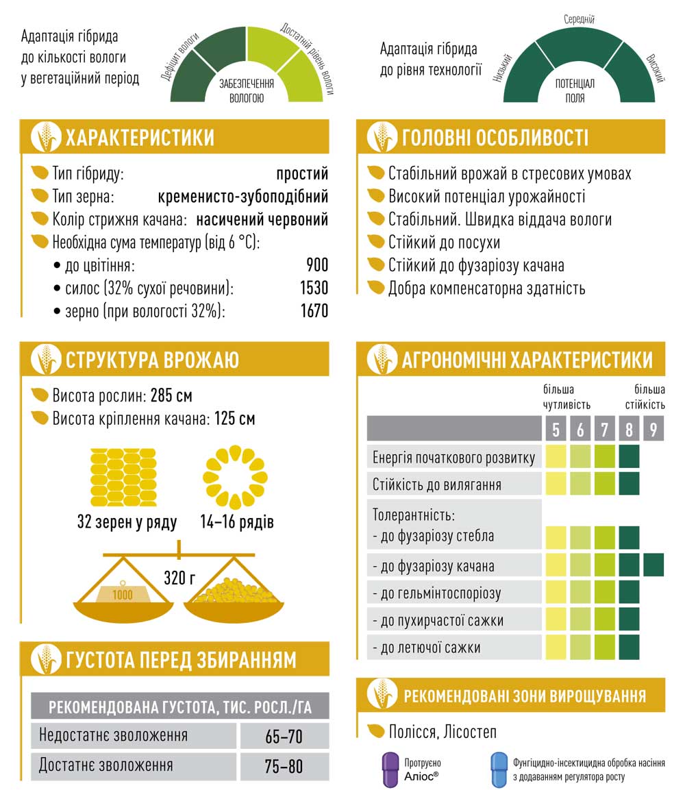 Гібрид кукурудзи ЕС КОНКОРД