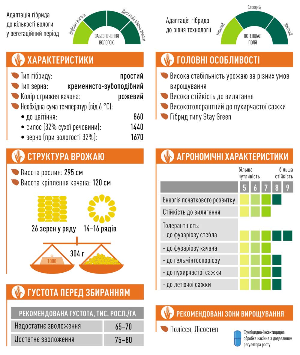 Гібрид кукурудзи ЕС КРОССМАН