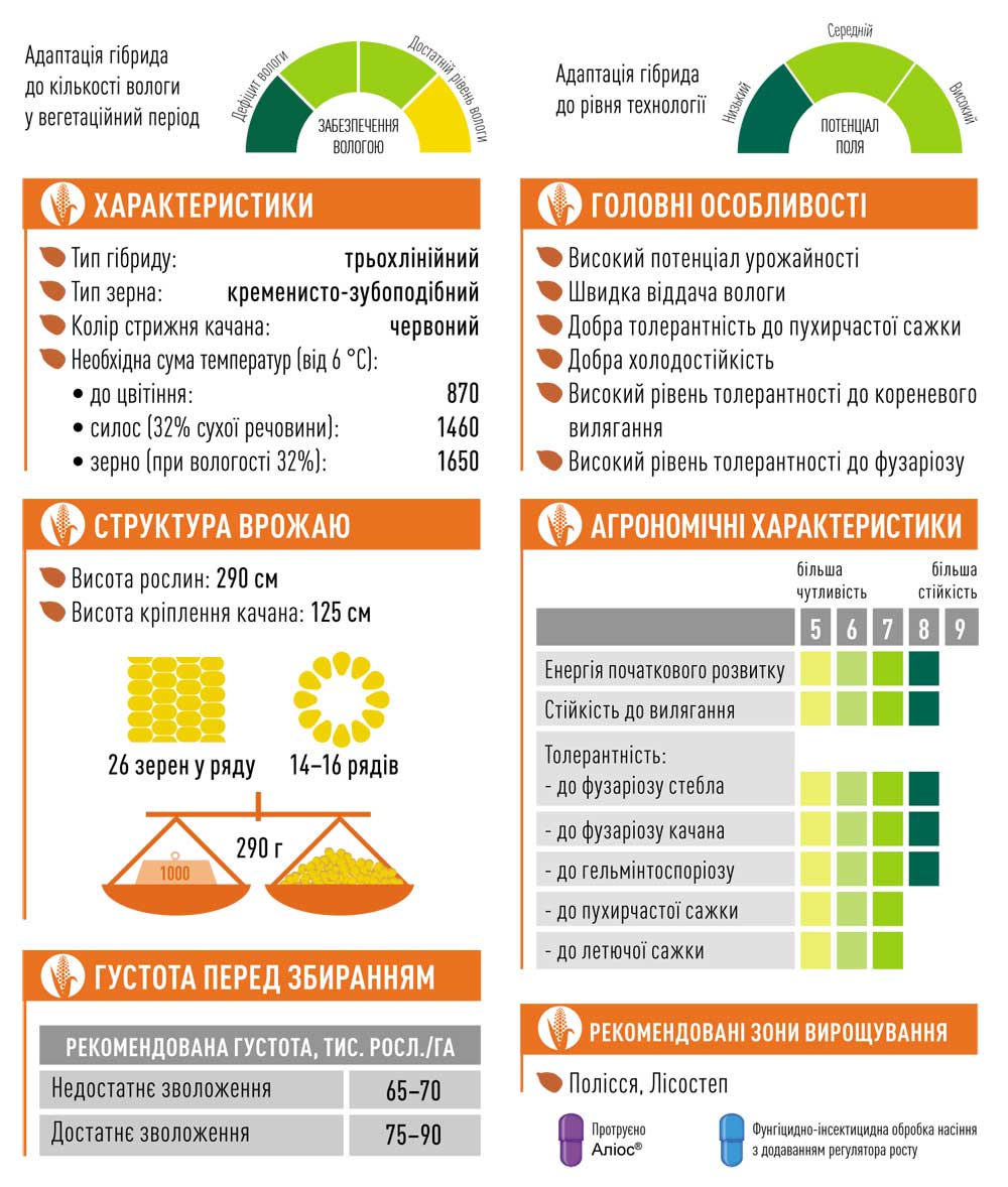 Гібрид кукурудзи ЕС СІРІУС