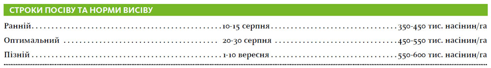 Гібрид озимий ріпак КЛАРУС (CLARUS)