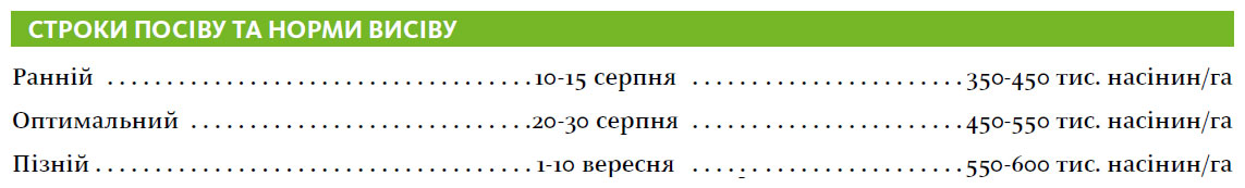Гібрид озимий ріпак ТОРОНТО (TORONTO)