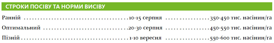 Гібрид озимий ріпак ГРАФ (GRAF)