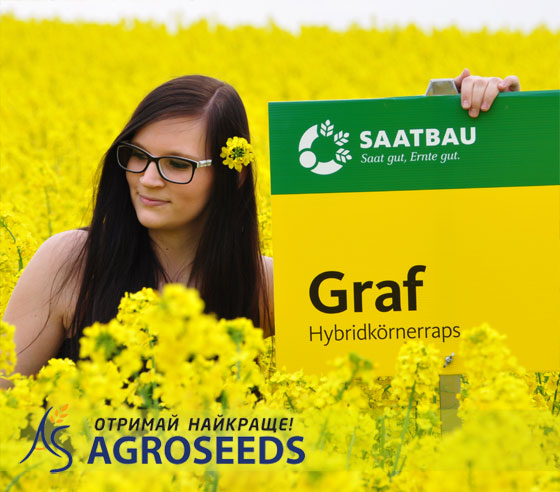Гібрид озимий ріпак ГРАФ (GRAF)