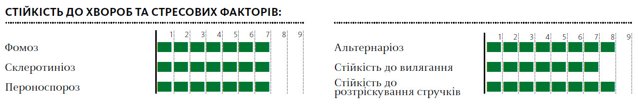 Гібрид озимий ріпак ГІБРИСЬОРФ (HYBRISURF)
