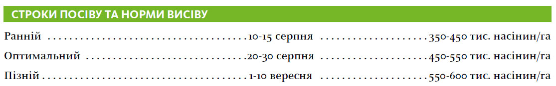 Гібрид озимий ріпак МЕМФІС (MEMPHIS)