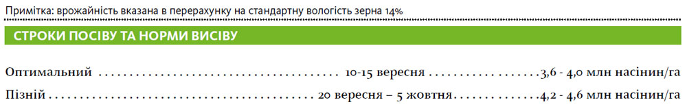 Гібрид пшениця озима УРБАНУС