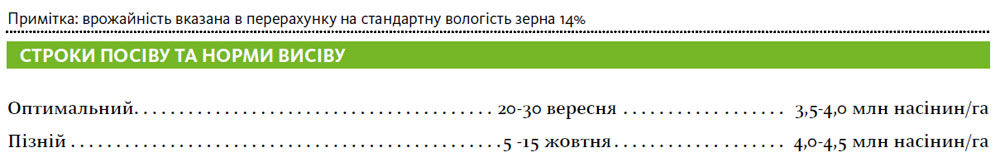 Гібрид пшениця озима ТАЦІТУС