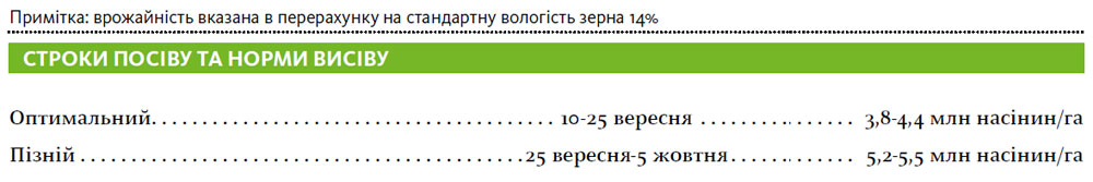 Гібрид пшениця озима ПАННОНІКУС