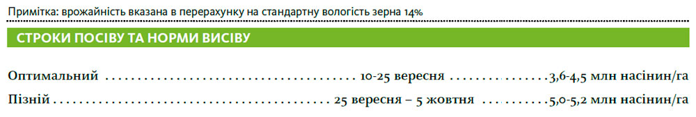 Гібрид пшениця озима АМАНДУС