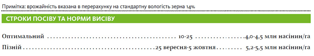 Гібрид пшениця озима АКТІВУС