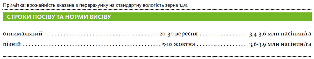 Гібрид пшениця озима ХАННЕЛОРЕ