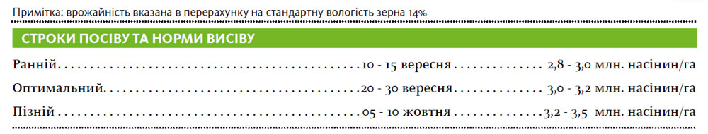 Гібрид пшениця озима ХАЙДІ