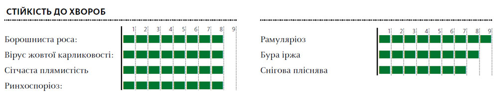 Гібрид пшениця озима МОНРО