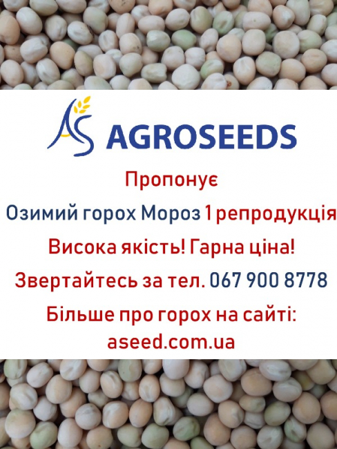 ТОВ Агросідс пропонує горох Мороз 1 репродукція