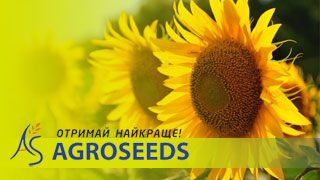 Гібриди соняшнику
