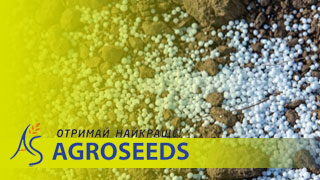 Мінеральні добрива